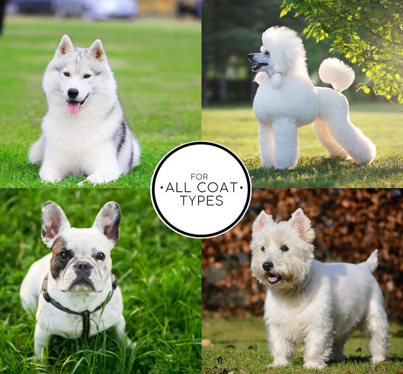 Chris Christensen Groomer's Bundle - White on White Treatment Dog Shampoo, Brightens Whites, Safely Removes Yellow - Ice on Ice Detangling Dog Conditioner, Demat and Detangle, Long Lasting Silkiness - PawsPlanet Australia