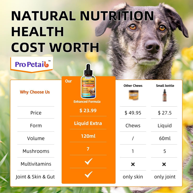 Turkey Tail Mushroom for Dogs Liquid 3000mg High Potency Blend Vitamins | Boost Immune, Energy Support, Skin Lump Support, Vet-Formulated, Daily Wellness, Turmeric & Probiotic, 100ml Roasted Chicken