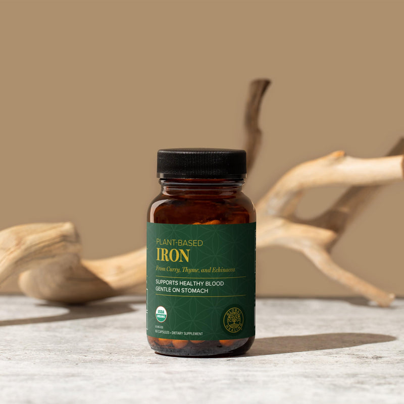 Iron Supplement for Women & Men - Blood Builder Liquid Iron Vitamin (2 Oz) | Global Healing Iron Supplement- Natural Energy to Combat Fatigue, Brain Health