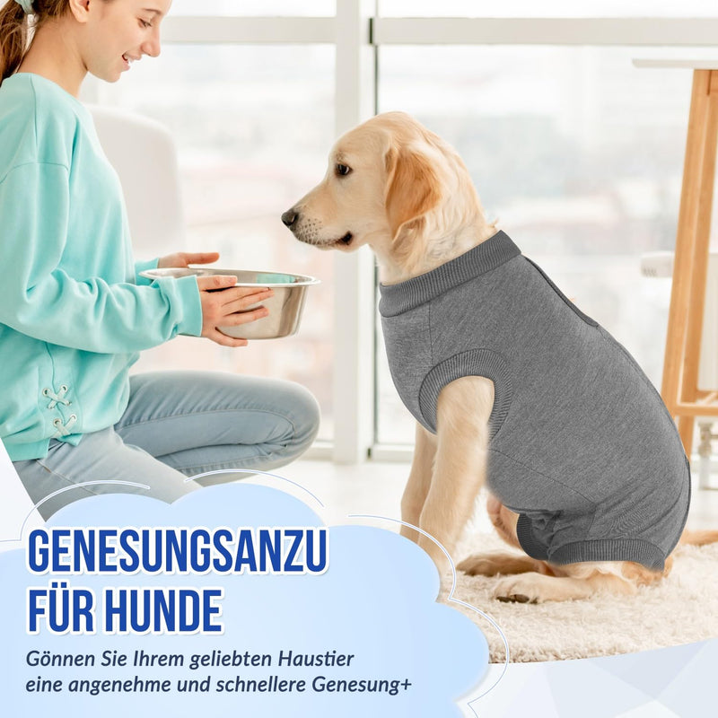SlowTon Dog Surgery Recovery Suit - Puppy Suit for Cats After Surgery, Cone E Collar Alternative for Female Dogs, Surgical Castration Suit for Abdominal Wounds Skin Diseases M Grey - BeesActive Australia