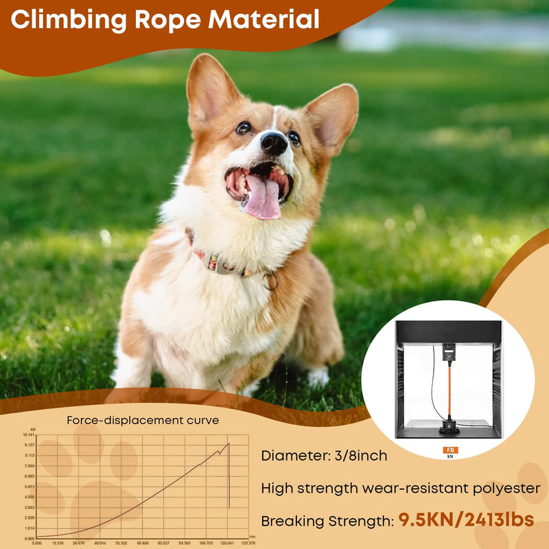 Long Dog Leash for Dog Training 16FT/30FT/50FT/100FT, Reflective Dog Leash with Lockable Hook, Heavy Duty Dog Lead Tie Out Rope for Large Medium Small Dogs Outside Walking, Playing, Camping, or Yard 30FT*3/8 inch Black - BeesActive Australia