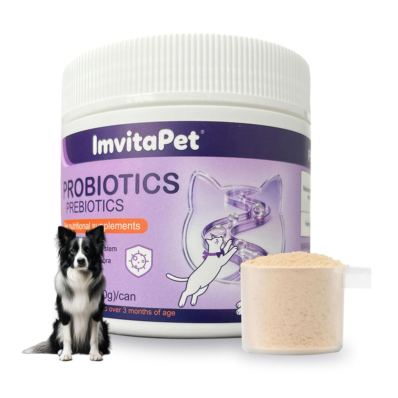Probiotics for Dogs - Dog Probiotics Powder for Digestive Health, Gut Support, & Immune Boost – Maximum Potency with Digestive Enzymes & Prebiotics - 60Grams 1