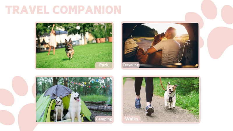 Collapsible Dog Travel Bowl, Portable Dog Bowls, 3-in-1 Pet Food and Water Feeder, Poop Bag Dispenser, Travel Dog Food Container with Lid for Camping, Walking, Hiking and Traveling (Pastel Pink) Pastel Pink - BeesActive Australia