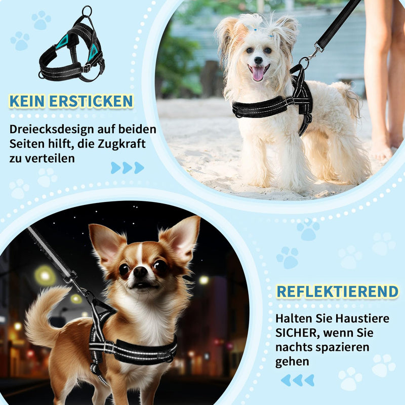 Eyein Dog Harness with Leash for Small Medium Dogs, No-Pull Adjustable Chest Harness with 2 Leash Clips, Reflective & Lightweight Harness with Soft Padding (Black, XXS) Black - BeesActive Australia