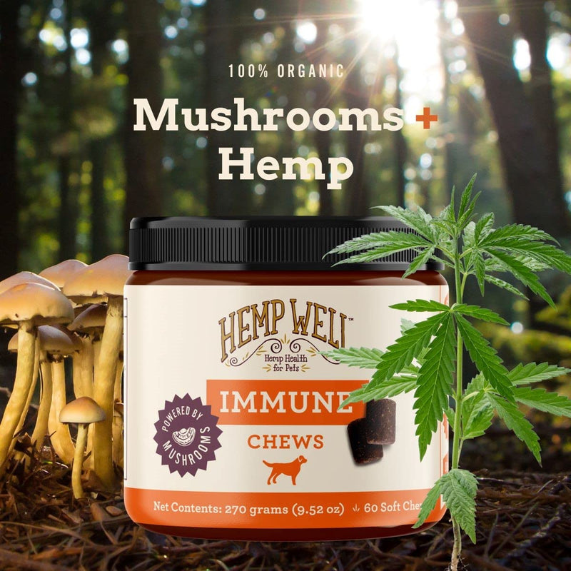 Hemp Well Immune + Allergy Support Dog Soft Chews with Functional Mushrooms and Hemp - 60 Count, Dog Allergy Relief, Itch Relief for Dogs - Dog Vitamins and Supplements for Digestive and Skin Support - PawsPlanet Australia