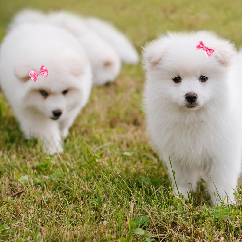 12Pcs Dog Hair Bows, Puppy Bows for Small Size Dog 1.8 Inch Cute Dog Bows Handmade Pink Dog Bows with Rubber Bands Rhinestones Small Dog Hair Accessories for Puppy Kitten Pet Hair Grooming Accessories - BeesActive Australia