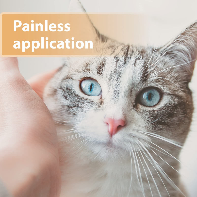 Felisept Wound Gel for Cats 20ml - Cat antiseptic - Cat wound treatment - Cat antibiotics for infections - Cat Wound Ointment - Cat Wound Gel for cleaning and care of wound areas