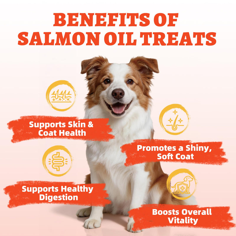 Just Try 15 OZ Salmon Oil Dog Treats Skin and Coat Health for Dogs Omega 3 Fatty Acids Puppy Training Treats Healthy Dog Treats