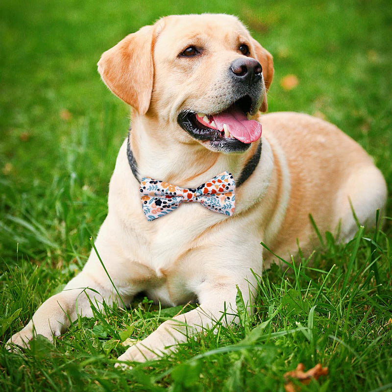 PET SHOW Wholesale 50pcs Floral Small Dogs Collar Attachment Bow Ties Embellishment Medium Large Dog Puppies Cats Collar Charms Accessories Bulk Slides Bowties 50pcs/lot - BeesActive Australia