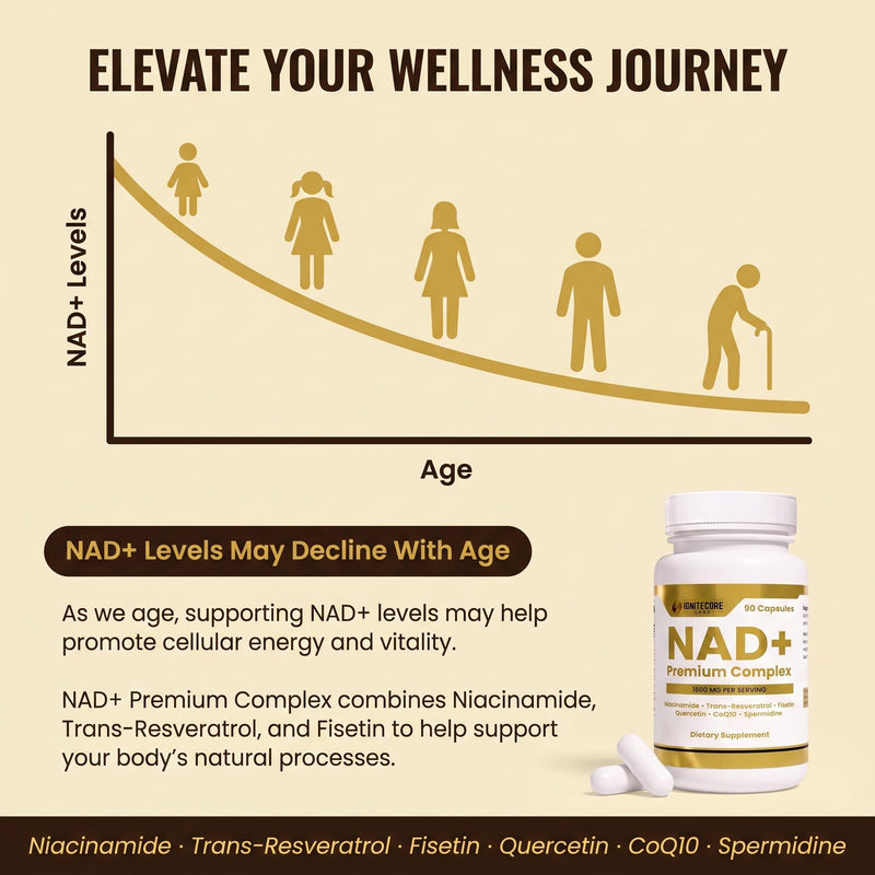 NAD+ Premium Complex 1600mg | Niacinamide Fisetin Quercetin Trans-Resveratrol CoQ10 Spermidine | Longevity Supplement Cellular Energy Healthy Aging Support | Vegan Non-GMO Gluten Free | 90 Capsules