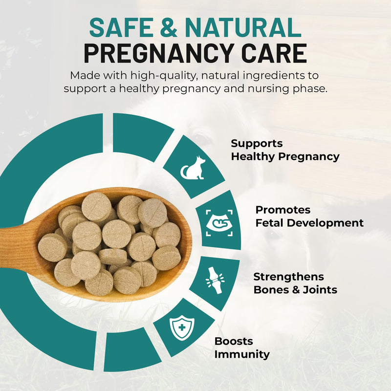 Dog Vitamins and Supplements - Chewable Dog Prenatal Vitamins for Large and Small Breed - Multivitamin Supplement for Health Support and Development - 120 Soft Chews