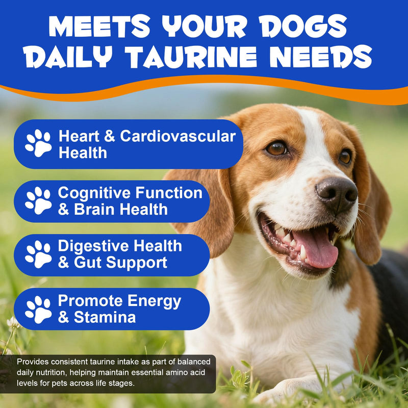 Taurine for Dogs – Daily Nutritional Supplement to Help Support Heart, Muscle & Overall Vitality – High-Purity & Easy-to-Mix, Additive-Free Formula for Puppies, Adult & Senior Dogs, 200g