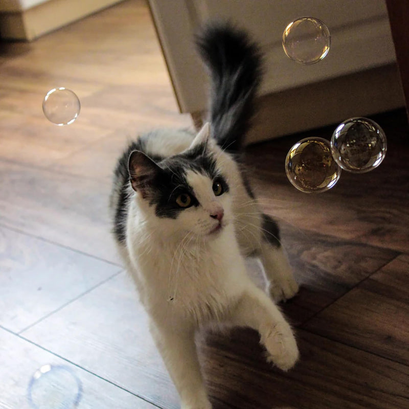 Atomic Bubbles: Kitty Love Play & Spray Duo - Calming Pheromone - 4oz Scented Bubble Bottle, 2oz Spray - Relieve Cat Anxiety, Sensory Set, in-Outdoor
