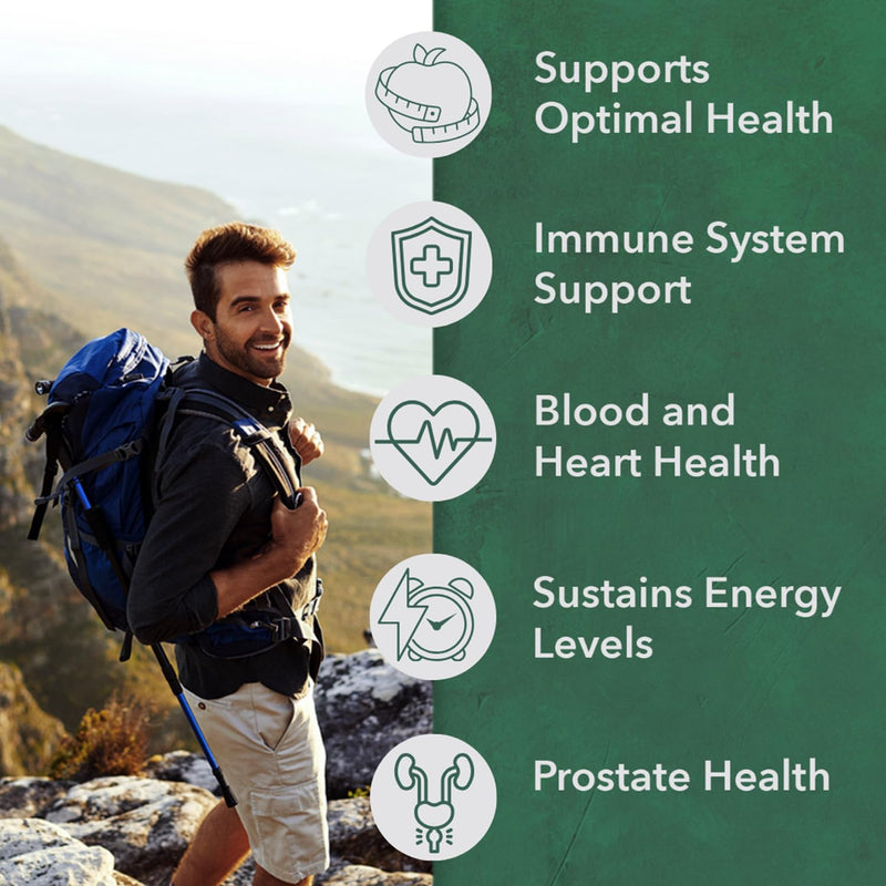 PlantFusion Organic Multivitamin for Men - One Daily Whole Food Blend Men's Multivitamin - Vegan, Non-GMO, Gluten Free & Dairy Free - 30 Tablets (1 Month Supply) 30 Count (Pack of 1)