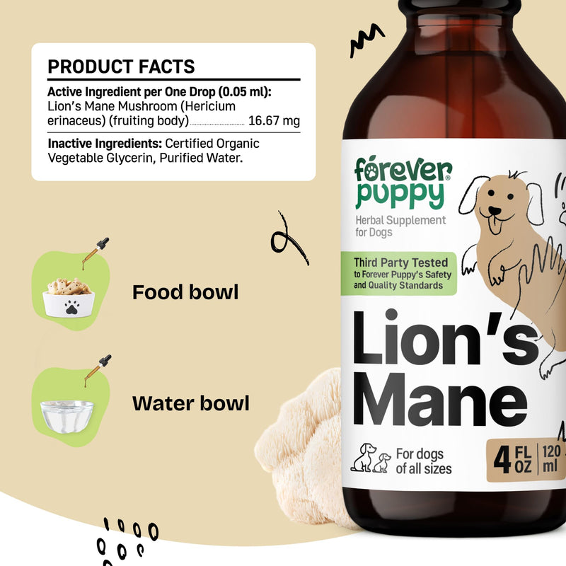 Lion's Mane Mushroom Supplement for Dogs - Brain Health & Focus - Liquid Lions Mane Mushrooms for Dogs - Canine Supplements and Vitamins - Sugar & Alcohol-Free Drops - 4 fl oz - PawsPlanet Australia