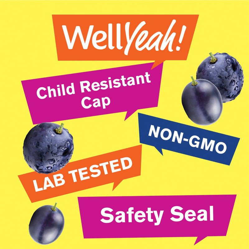 WellYeah Iron Gummies with Vitamin C -Anemia and Cellular Energy Support, Promotes Red Blood Cell Formation - Energy & Immune System Support -Natural Grape Flavor-60 Gummies