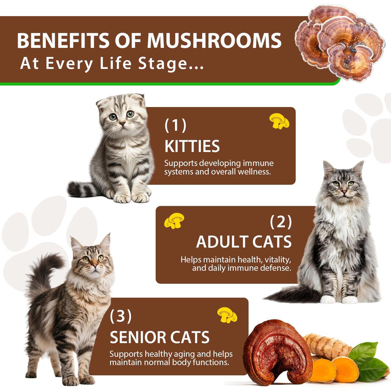 Turkey Tail Mushroom for Cats - Critical Immune Defense Cats, Turkey Tail Mushroom Liquid Extract for Immune & Digestive Drops for Pet, with 5X Mushrooms, Turmeric & Probiotic 2 oz for cat