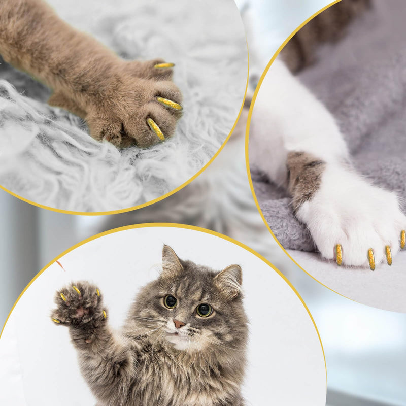 Cat Nail Caps with Glue - 20pcs Pet Kitten Cat Claw Caps Cat Claw Covers for Small Medium Large Cats - Crystal Gold M - BeesActive Australia