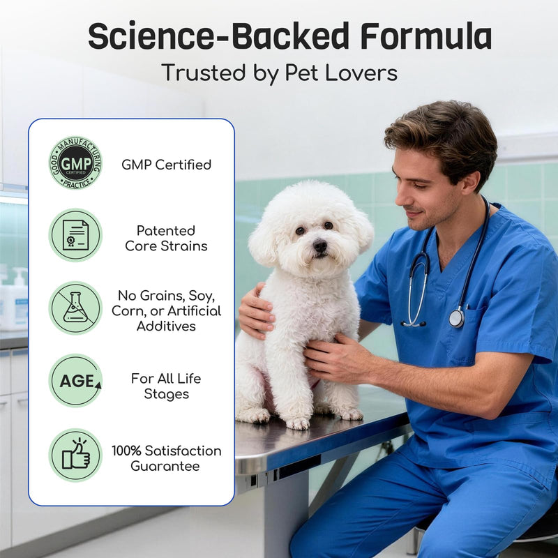 Probiotics for Dogs: 10B CFU Digestive Health Soft Chews with Prebiotics, Enzymes & Pumpkin - for Small & Large Dogs, Stool, Gut, Immune Support - Chicken, 180ct