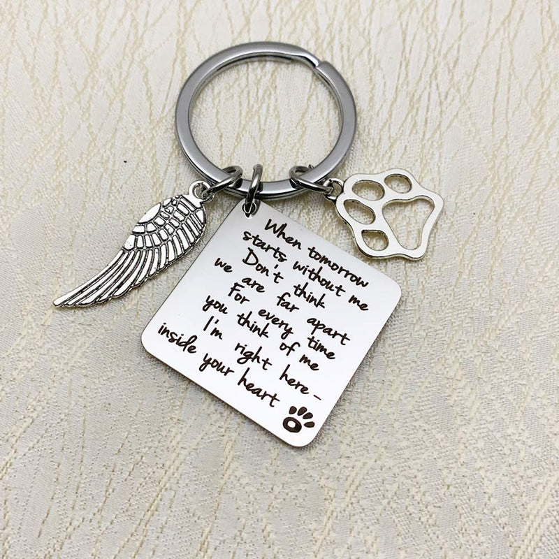 WANGCL Stainless Steel Paw Print Keychain with Box to Remember Lost Dogs Pets Cats - BeesActive Australia