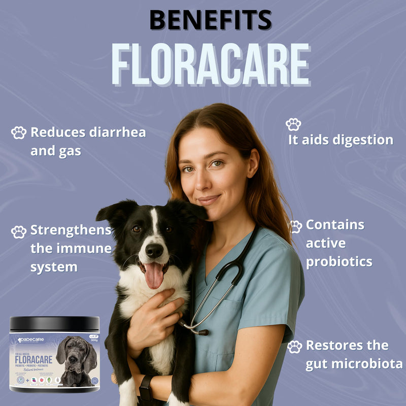 Floracare - Dog Probiotic Powder 300g - Repairs Gut Flora and Improves Digestion – Reduces Diarrhoea and Stress – Ideal After Antibiotics or Diet Change with Prebiotics and Postbiotics