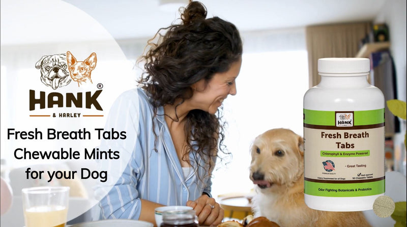 Fresh Breath TABS- chewable Breath Mints for Dogs. Triple-Action Oral Hygiene Harnesses the Power of Chlorophyll to Fight Bad Breath and Stomach Distress. Made in USA, 90 Count