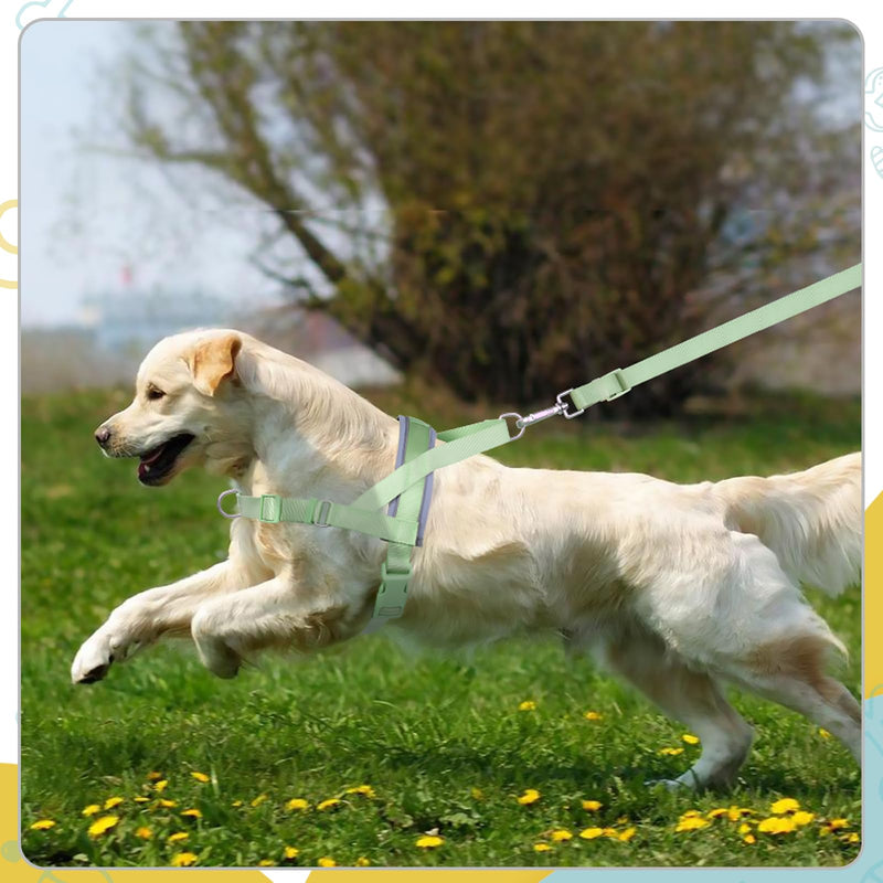 Wisedog No Pull Dog Harness Small Medium Sized Dog, Adjustable Webbing Dog Halter Harness for Large Dogs, with Soft Padded, Reflective (Sage Green, S|Neck=14"-16.5"/Chest=18"-22") S|Neck=14"-16.5"/Chest=18"-22" Sage Green - BeesActive Australia