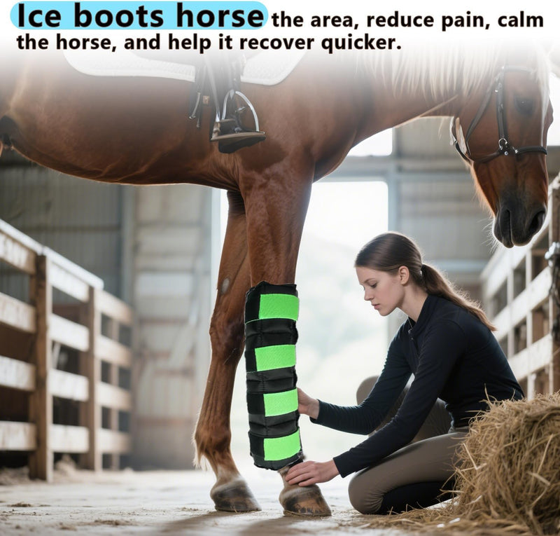 Horse Ice Boots – Cooling Gel Leg Wraps for Hock, Knee, Ankle & Hoof Pain Relief – Reusable Hot & Cold Therapy Wraps with 2 Freeze Gel Packs – Anatomical Fit, Adjustable Wrap for Equine Recovery Green