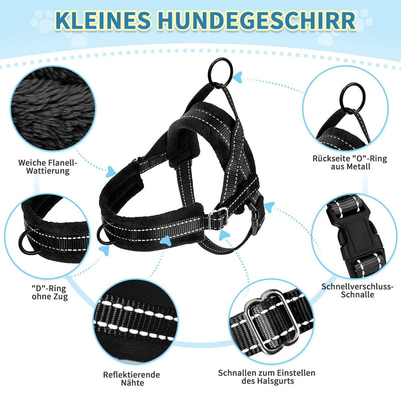 Eyein Dog Harness with Leash for Small Medium Dogs, No-Pull Adjustable Chest Harness with 2 Leash Clips, Reflective & Lightweight Harness with Soft Padding (Black, XXS) Black - BeesActive Australia