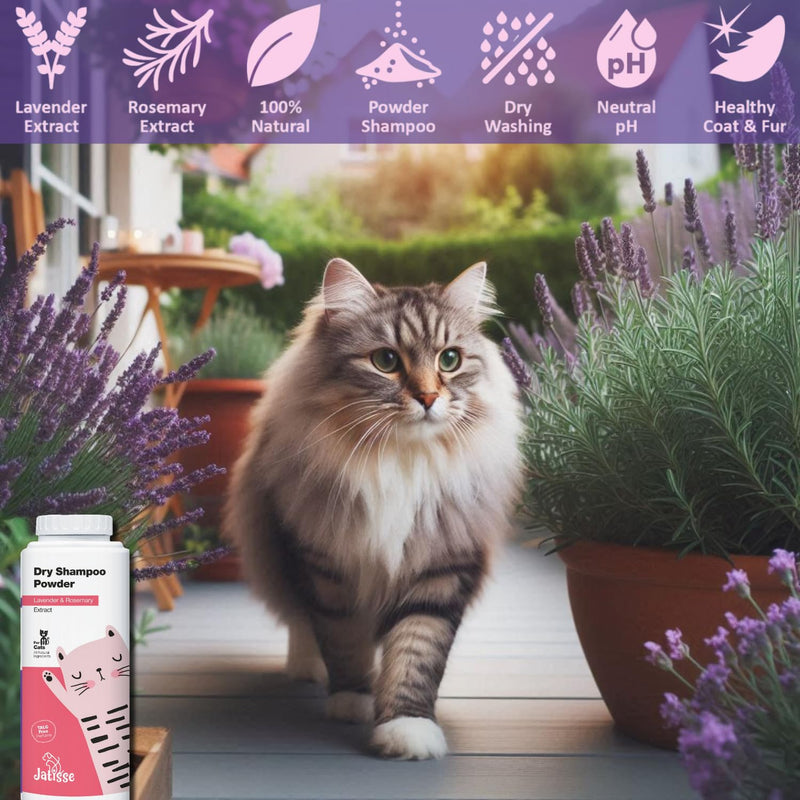 Cat Dry Shampoo Powder with Lavender and Rosemary for Cats 5.29 fl. oz| Grooming for Cat | Kitten Sensitive Skin | Cleansing and Moisturizing Perfume and Talc Free (1) 1 - BeesActive Australia