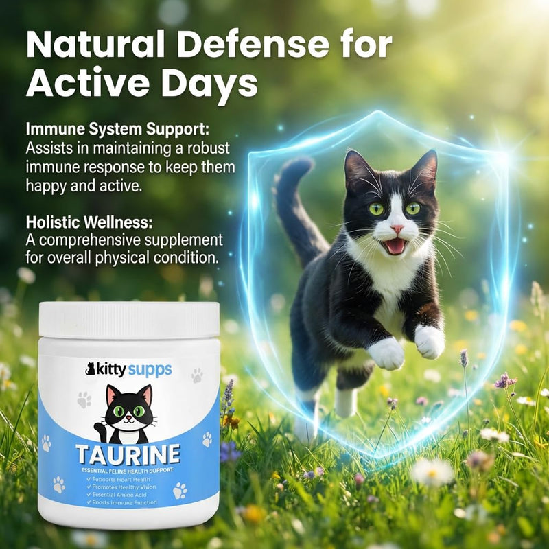 KittySupps Taurine for Cats, KittySupps Taurine Supplement - 99.9% Pure Taurine Supports Vitality & Coat Health, Easy to Mix in Food, with Dosing Spoon, 200g
