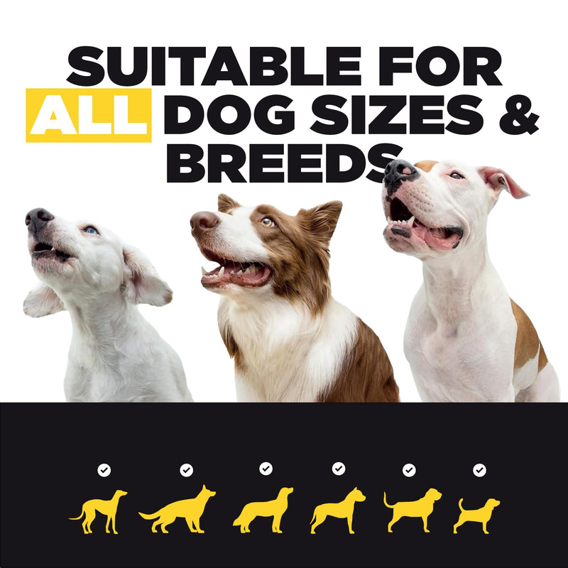 ProDog Protect Itch & Allergy Support for Dogs | 14 Natural Ingredients | Skin Supplement Powder (100g) 100 Gram