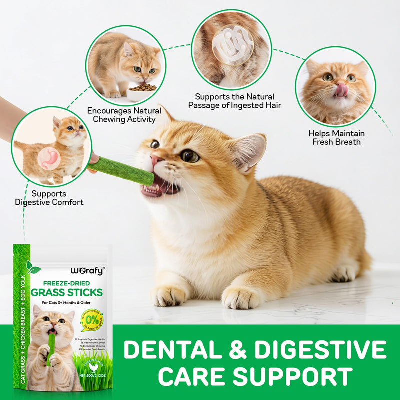 60g Cat Grass Sticks, Freezed Dried Cat Grass SticksSnacks for Teeth Cleaning and Hairball Removal Toy, Grass Stick Chew Dental Food for Indoor Kitty Lickable Edible Snack