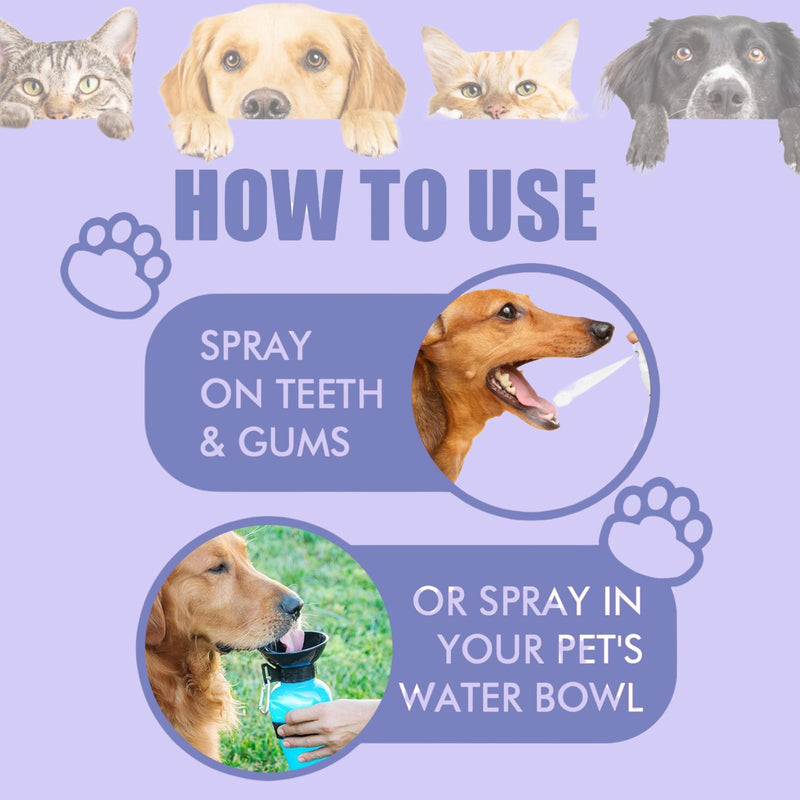 2Pcs Dental Care Spray for Dogs and Cats, Eliminate Bad Breath, Minimize Tartar and Plaque Buildup, Supports Gums Oral Health, Dental Spray with Probiotics, Fresh Breath, No Brushing(100ml)