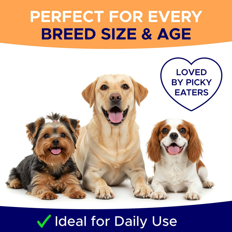 Pumpkin Powder for Dogs - 8oz Powdered Supplement High Fiber for Dogs Stool Softener - Treat Diarrhea, Constipation, Upset Stomach, Food Sensitivity - Improve Digestion - PET_Supplies