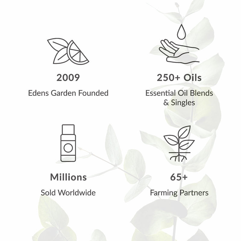 Edens Garden Fighting Five Essential Oil Blend- 100% Pure Premium Grade, Undiluted, Natural, Therapeutic, Aromatherapy, The Best for Diffusing, Candle, Laundry, Humidifiers 10 ml (.33 fl oz) 0.33 Fl Oz (Pack of 1) - BeesActive Australia