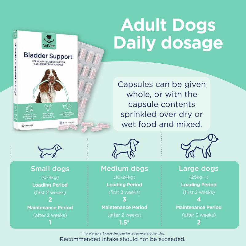 Bladder Support for Dogs (60 capsules) | Helps reduce indoor accidents | Urinary Health for Dogs | Bladder complex with pumpkin seed, D-mannose and cranberry