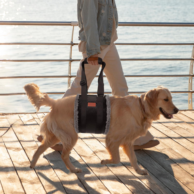 Adjustable Dog Carrier - Portable Rehabilitation Strap for Disabled, Injured or Elderly Dogs - Dog Harness as Walking Aid for Small and Large Dogs