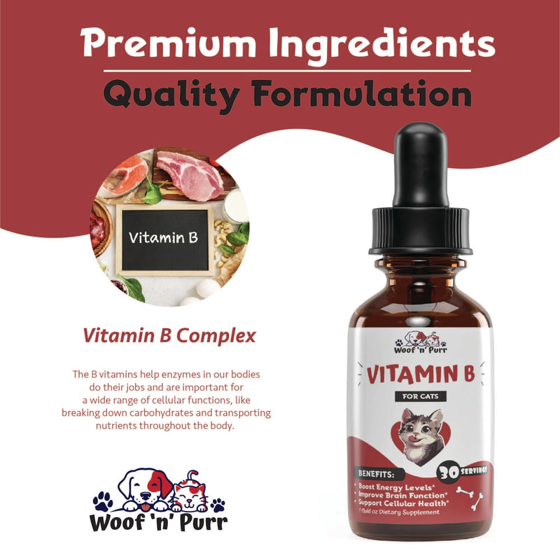 Vitamin B for Cats - B12 for Cats - Vitamin B12 for Cats - Cat Vitamins - Cat Vitamins and Supplements - Vitamins for Cats - Cat Appetite Stimulant - Appetite Stimulation for Cats - 1 fl oz