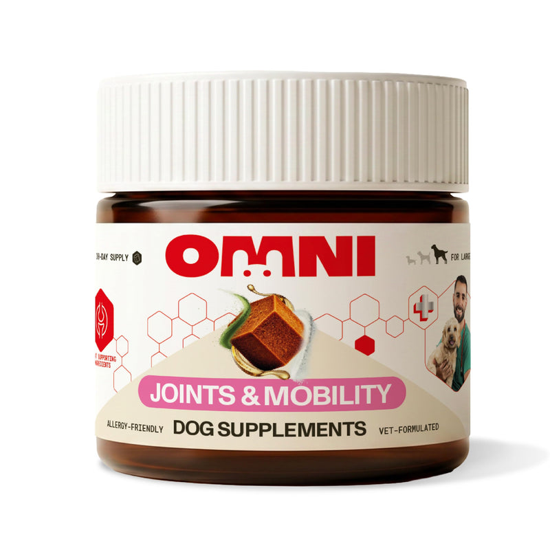 Omni Joint Supplements for Dogs - Dragons’ Den Winners, One-a-Day Joint & Mobility Chews with Glucosamine, Chondroitin & Omega 3, 30 Servings, Medium 15-30kg, Packaging May Vary Medium Dog (15-30kg) Pack of 1