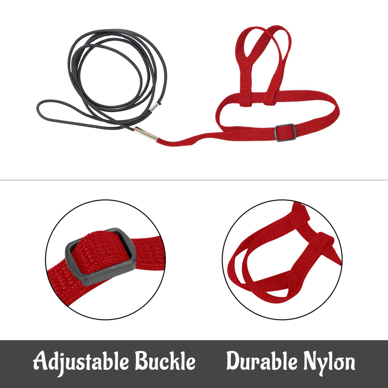 2 pcs Pet Parrot Bird Harness and Leash, Adjustable Training Design Anti-Bite, Outdoor Flying Training Rope Kit for Bird Parrots Fits Birds Chest Between24-51cm /9.45-20inch - M (red red - BeesActive Australia