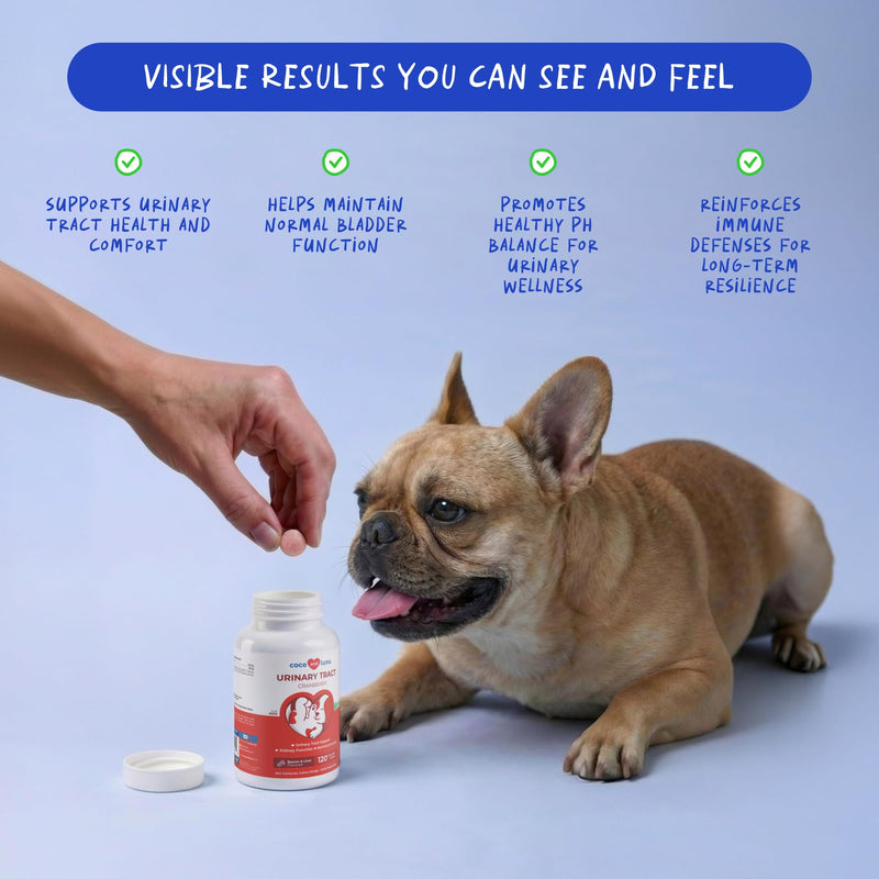 Cranberry Supplement for Dogs & Cranberry Powder for Cats - Supports Urinary Tract & Bladder Wellness