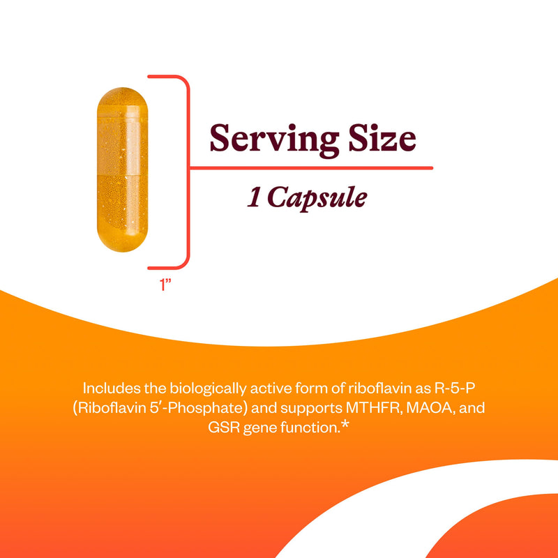 Seeking Health Riboflavin - Vitamin B2 Supplement for Methylation Support - Support Homocysteine Metabolism with Antioxidant Ingredients - 400 mg, 60 Capsules