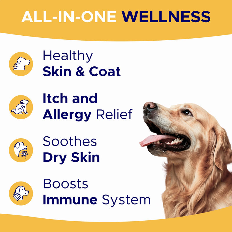 Omega 3 Chews + Allergy Relief Dogs Bundle – Dual Skin & Coat Support – EPA&DHA for Itchy Skin, Hot Spots, Paw Licking, Joint & Heart Health – 360 Ct – Made in USA