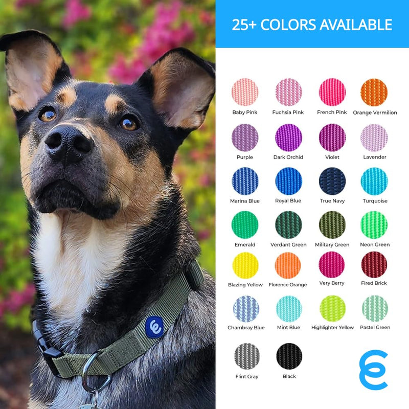 Blueberry Pet Essentials Small Dog Collar | Boy Dog Collars Fall | Male Dog Collar Small | Marina Blue Dog Collars for Small Dogs | Quick Release Dog Collar | Marina Blue Nylon Dog Collar Small (Pack of 1) - BeesActive Australia