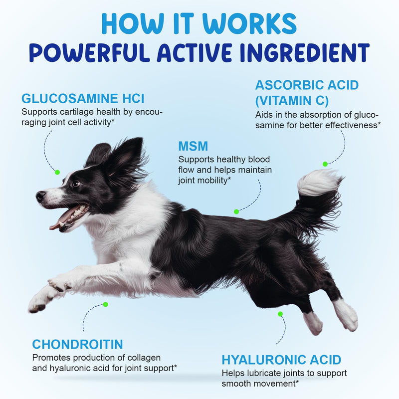 Hip & Joint Supplement for Dogs - 100% Natural Pain Relief & Mobility Support, Bacon Flavour, for Adult & Senior Dogs, 60ml