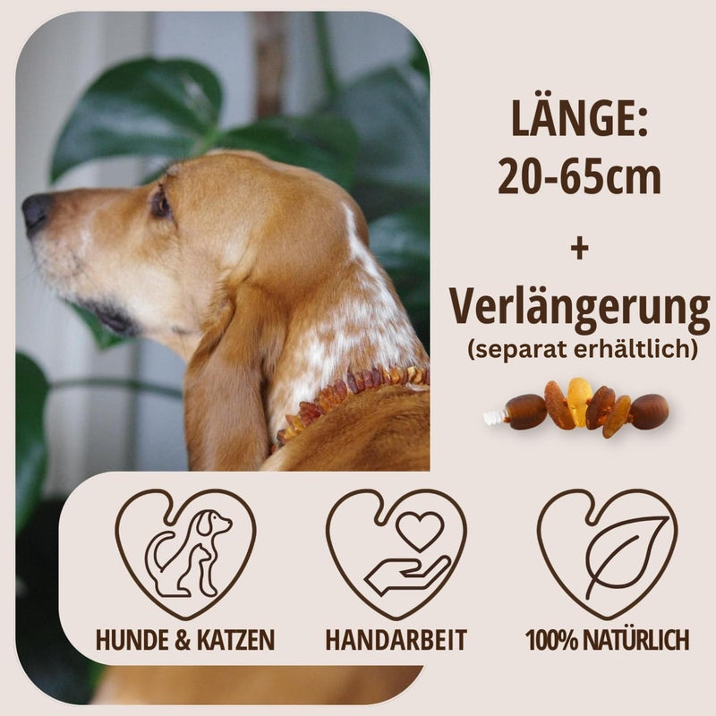 PetLove Amber Necklace Dog • 100% Baltic Amber • Collar for Dogs & Cats • Length: 35cm - BeesActive Australia
