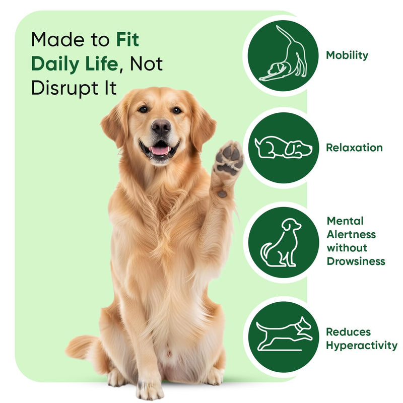 Calming Dog Treats - 120 Soft Chews - For Home Alone Time, Hyperactivity, Car Rides & Loud Noises - Dog Calming Chews with Ashwagandha, Lemon Balm & L-Taurine - Dairy-Free & Lactose-Free