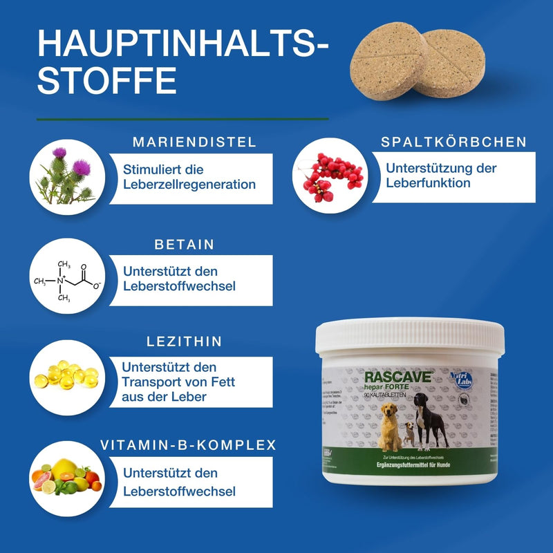 NutriLabs Rascave Hepar Forte tablets for dogs 90 PCS. - Liver tablets - B vitamins for dogs - Health products for dogs - Dog food supplements - Liver complex - BeesActive Australia