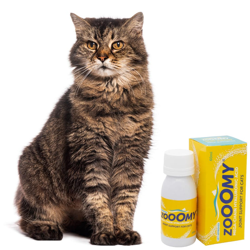 CaniFlow Zooomy Liquid Cat Joint Supplement - Hyaluronic Acid for Hip & Joint Care, Stiffness Relief for Cats, Senior Mobility Support, Easy to Give via Syringe Onto Food, Lasts up to 2 Months, 60ml